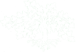 logo agrovit viveros Agrovit Viveros S.L.